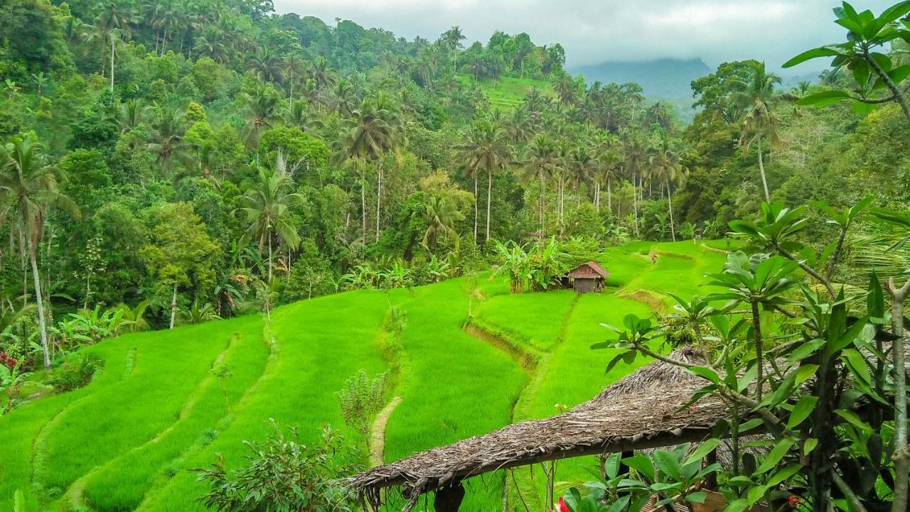Buda'S Homestay Lemukih Buleleng  Luaran gambar