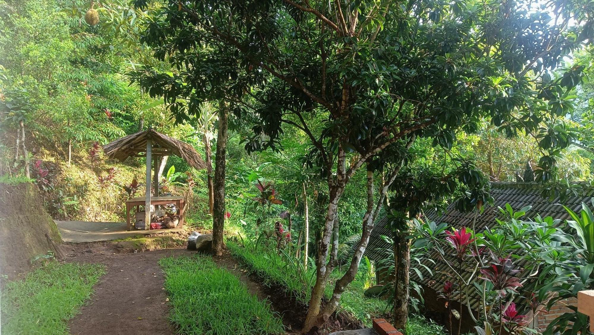 Buda'S Homestay Lemukih Buleleng  Luaran gambar