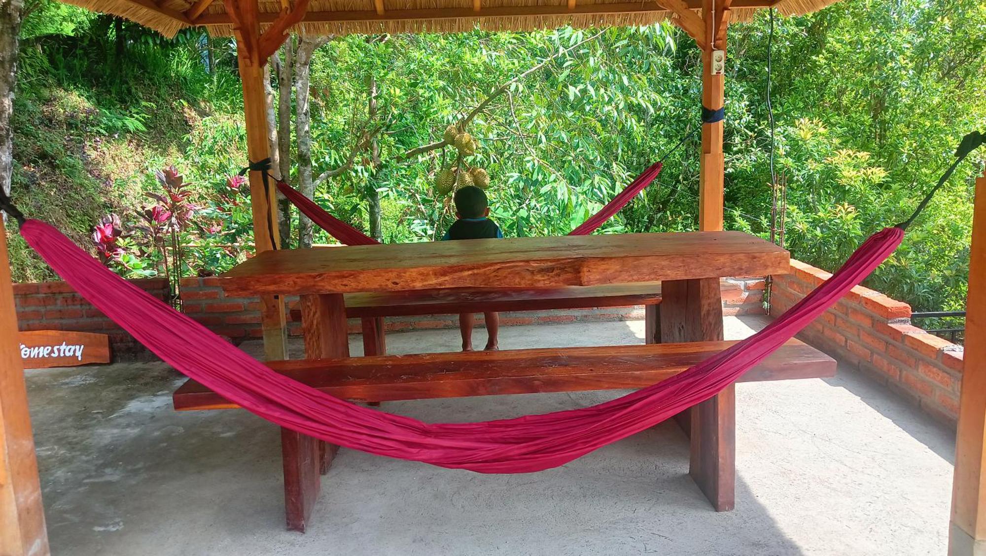 Buda'S Homestay Lemukih Buleleng  Luaran gambar